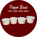 Paper Bowl